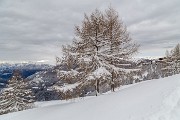 Domenica 22 Febbraio 2015 – Cimone di Margno  - FOTOGALLERY